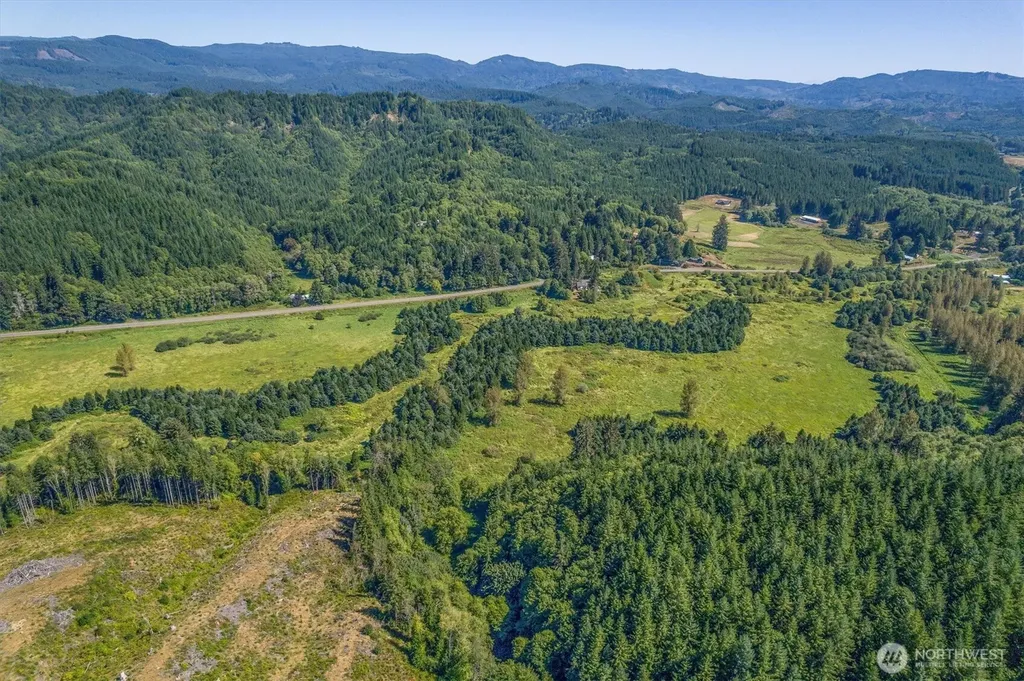 1929 W State Route 4 Skamokawa WA 98647
