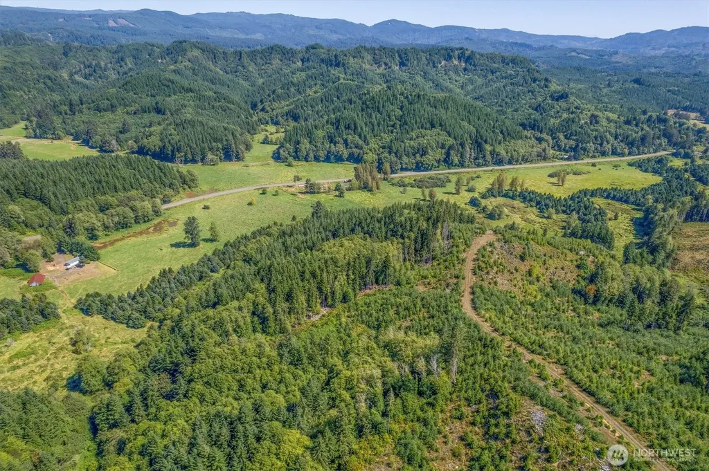 1929 W State Route 4 Skamokawa WA 98647