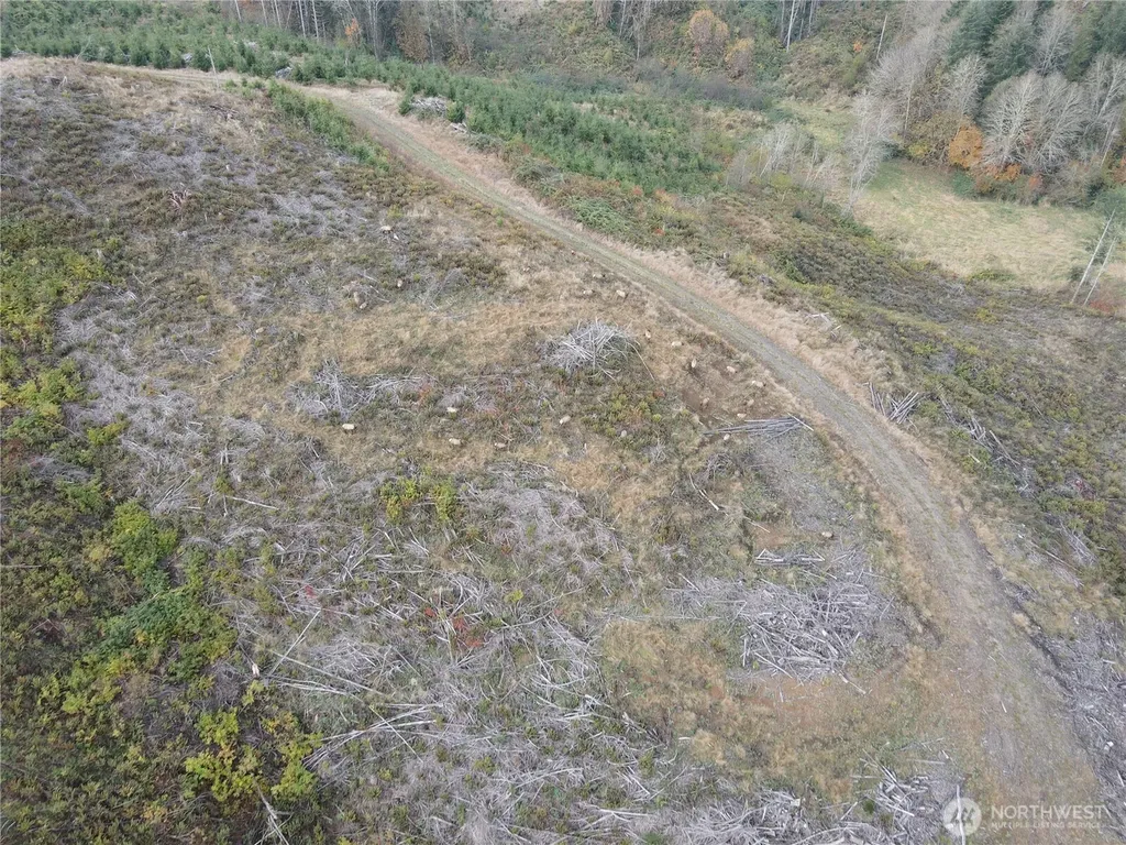 1929 W State Route 4 Skamokawa WA 98647