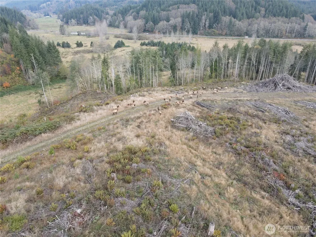 1929 W State Route 4 Skamokawa WA 98647