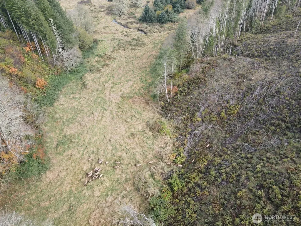 1929 W State Route 4 Skamokawa WA 98647