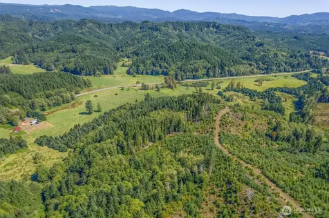 1929 W State Route 4 Skamokawa WA 98647