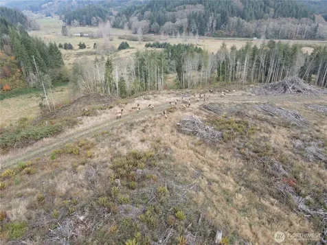1929 W State Route 4 Skamokawa WA 98647