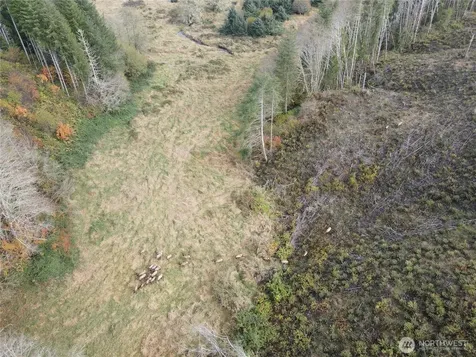 1929 W State Route 4 Skamokawa WA 98647