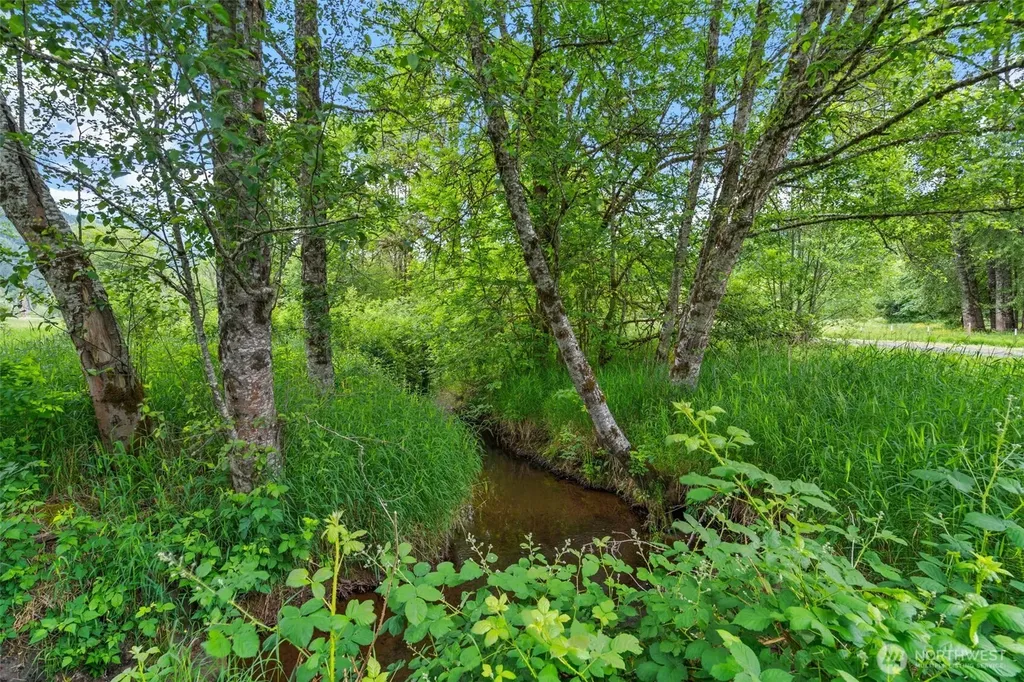 8178 Us Highway 12 Glenoma WA 98336