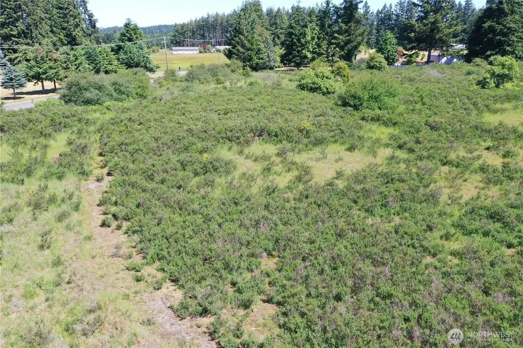 18132 Case Road SW Rochester WA 98579