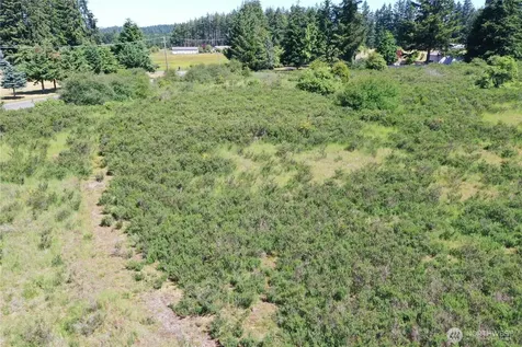 18132 Case Road SW Rochester WA 98579