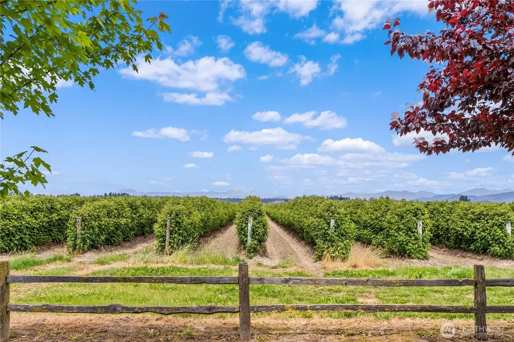 3084 Lindsay Road Everson WA 98247