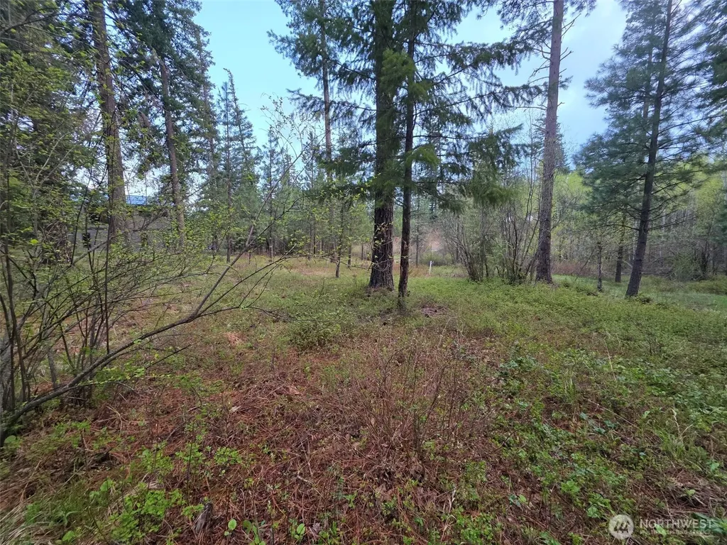 15 Old Grove Trail Cle Elum WA 98922