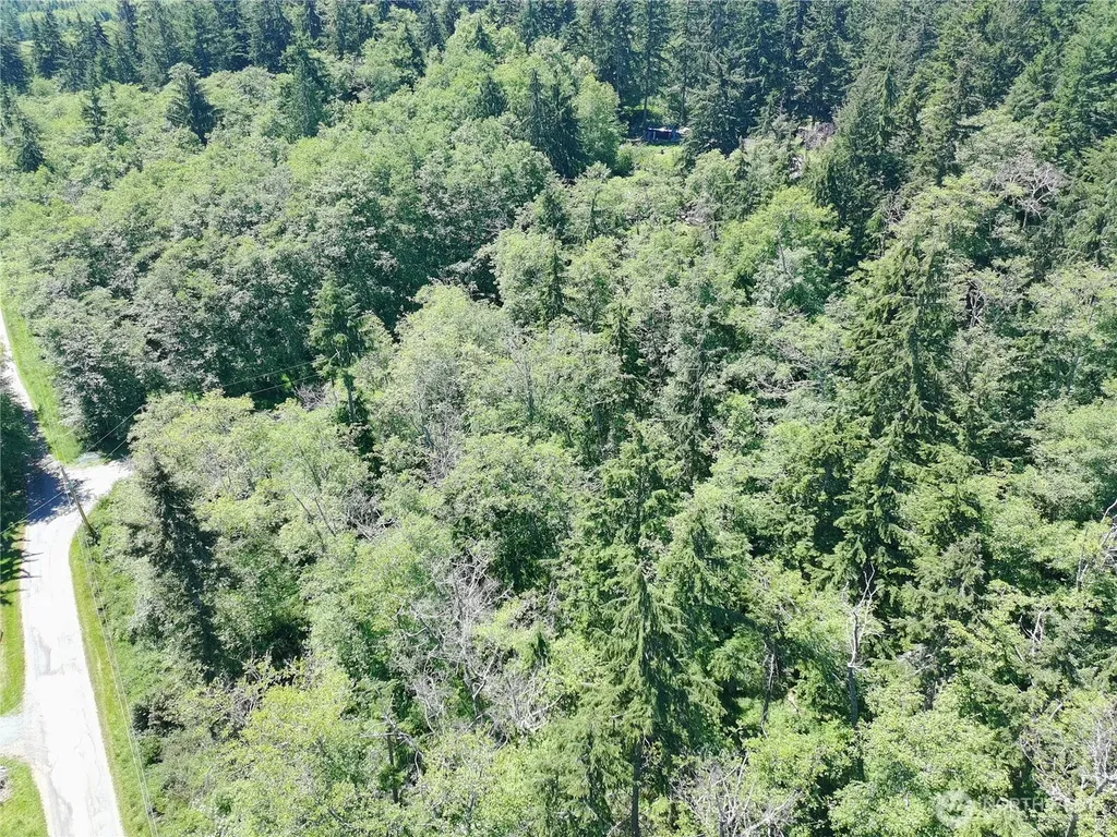 737 Twin View Drive Greenbank WA 98239