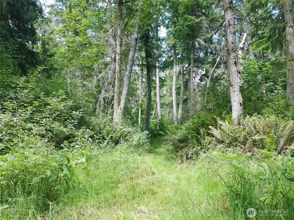 737 Twin View Drive Greenbank WA 98253