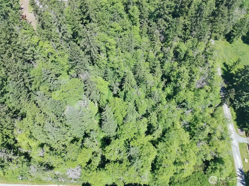 737 Twin View Drive Greenbank WA 98239