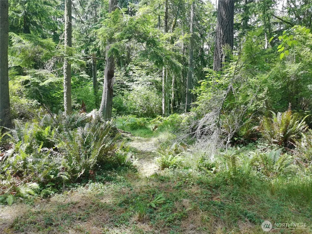 737 Twin View Drive Greenbank WA 98253