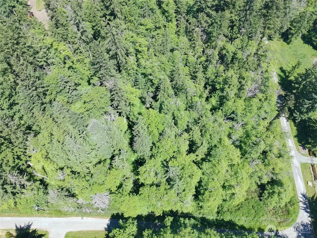 737 Twin View Drive Greenbank WA 98239