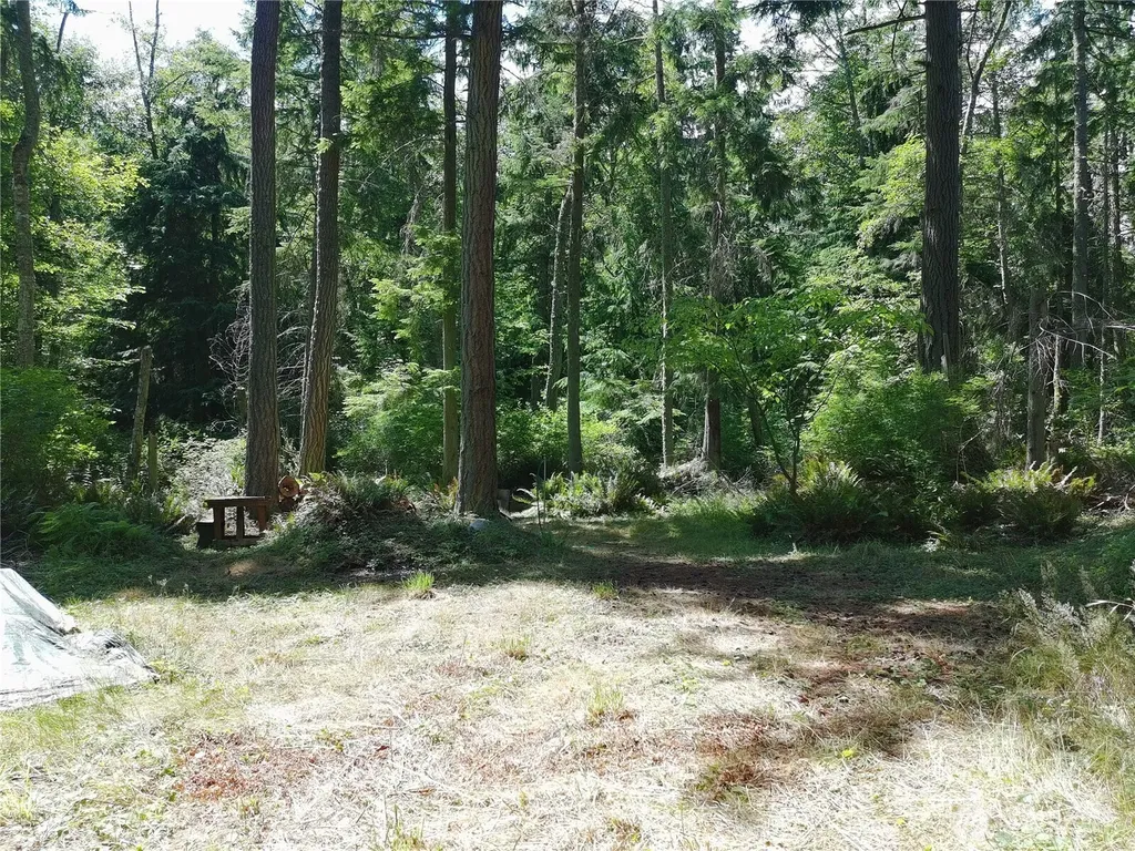 737 Twin View Drive Greenbank WA 98253