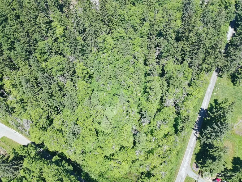 737 Twin View Drive Greenbank WA 98239
