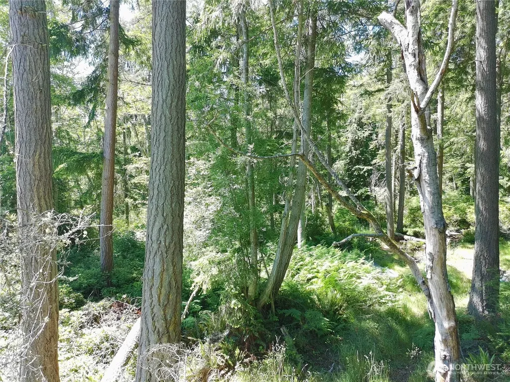 737 Twin View Drive Greenbank WA 98239
