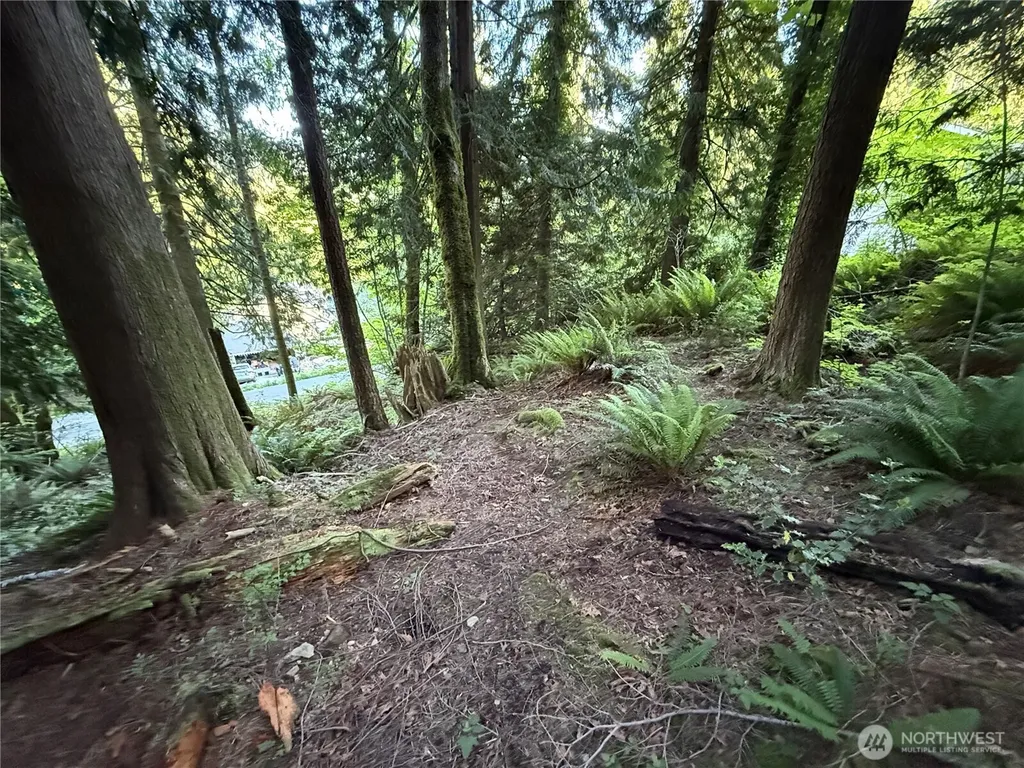 0 West Road Sedro Woolley WA 98284