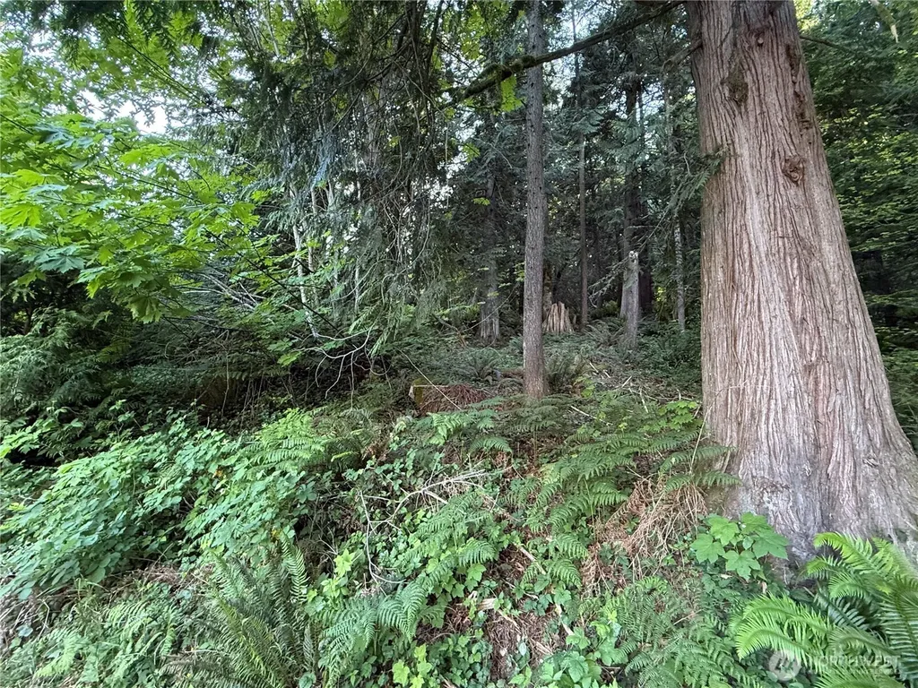 0 West Road Sedro Woolley WA 98284
