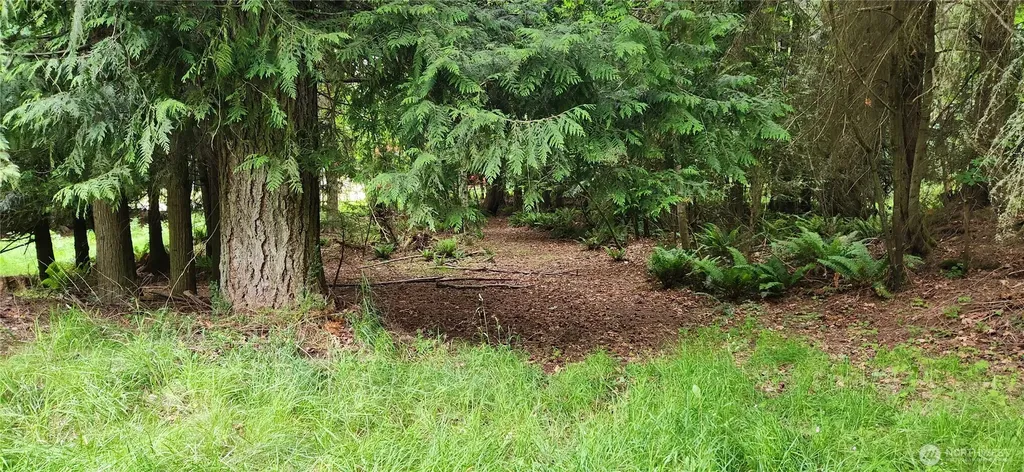 2356 Deer Park Road Port Angeles WA 98326