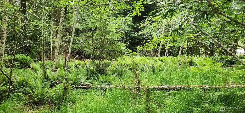 2356 Deer Park Road Port Angeles WA 98326