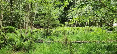 2356 Deer Park Road Port Angeles WA 98326