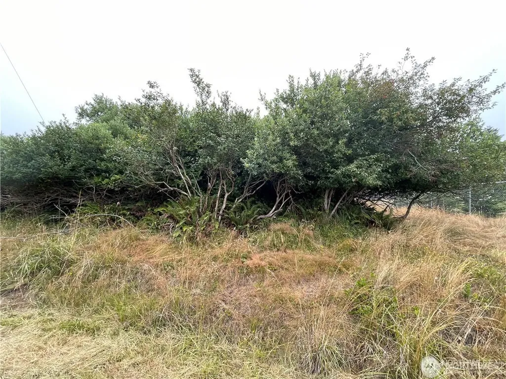 618 Canal Drive NE Ocean Shores WA 98569
