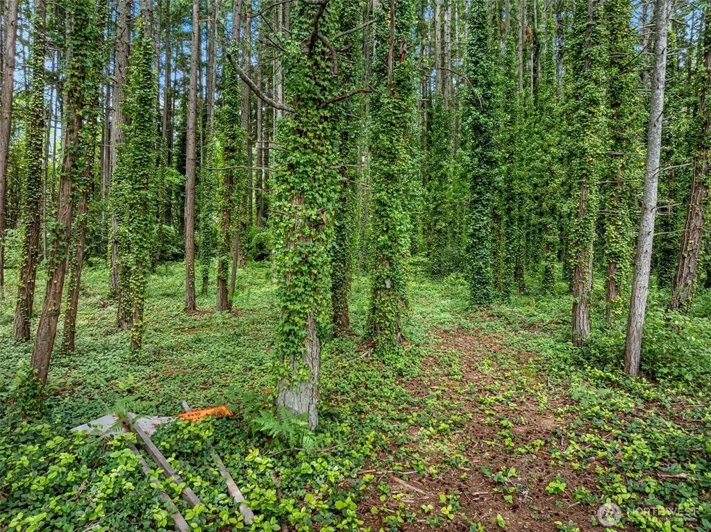 0 NE West Port Madison Road Bainbridge Island WA 98110