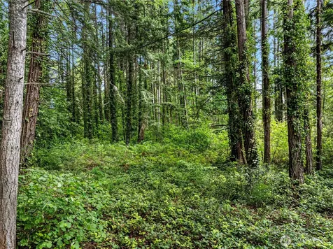 0 NE West Port Madison Road Bainbridge Island WA 98110