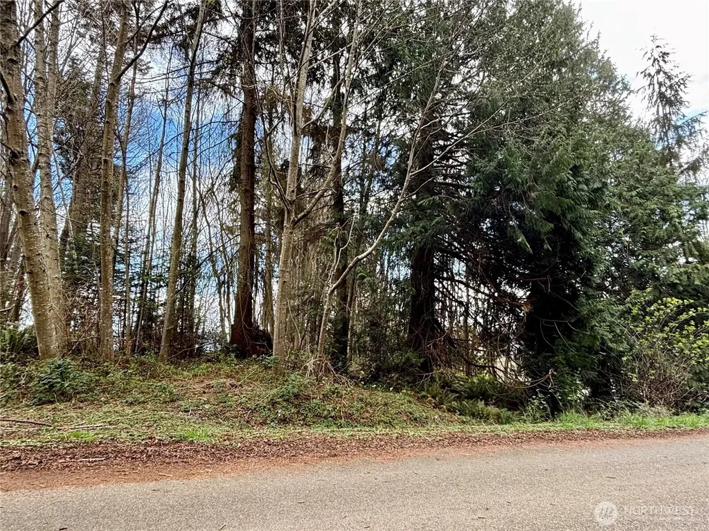 999 Bluejay Lane Port Ludlow WA 98365