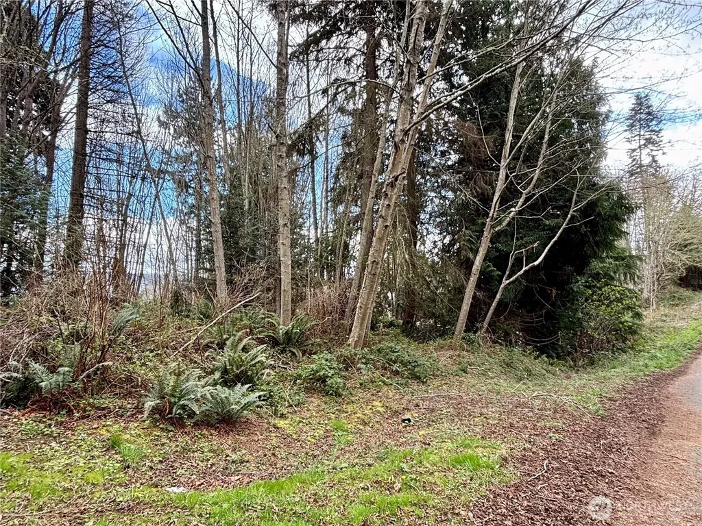 999 Bluejay Lane Port Ludlow WA 98365