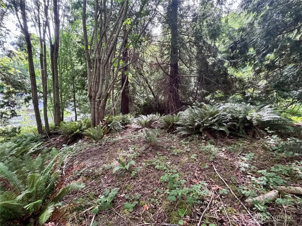 999 Bluejay Lane Port Ludlow WA 98365