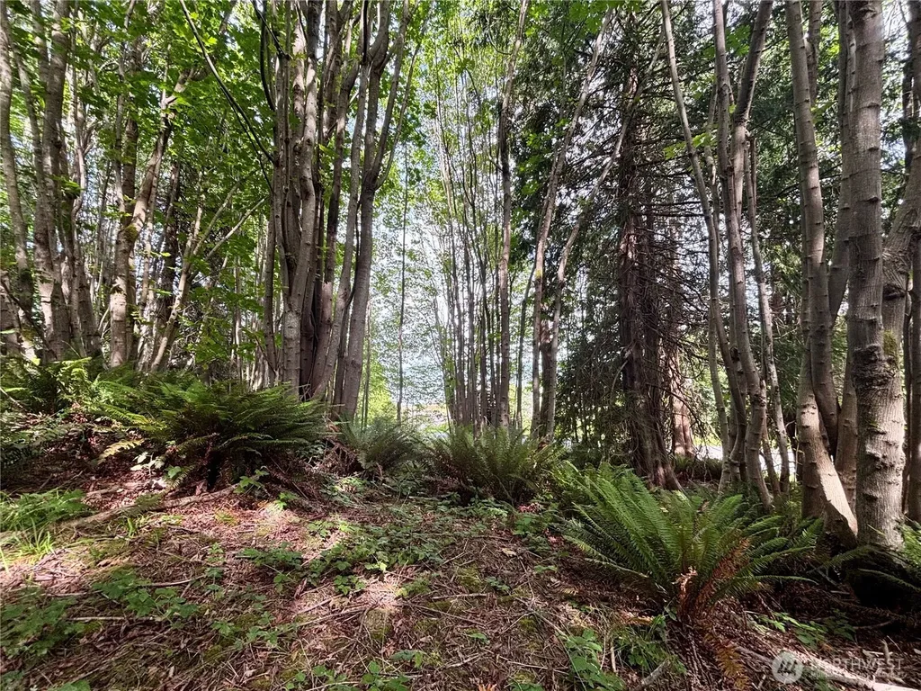 999 Bluejay Lane Port Ludlow WA 98365