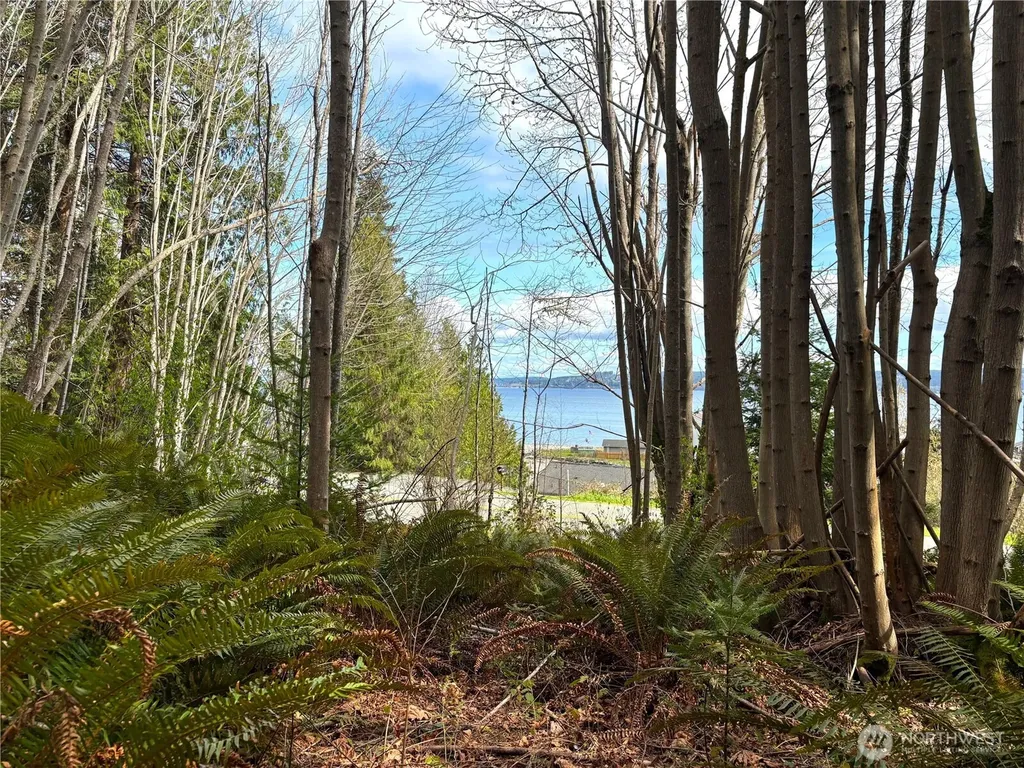 999 Bluejay Lane Port Ludlow WA 98365