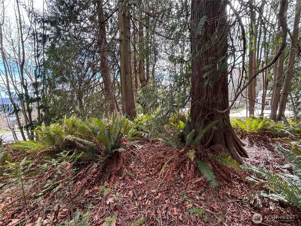 999 Bluejay Lane Port Ludlow WA 98365