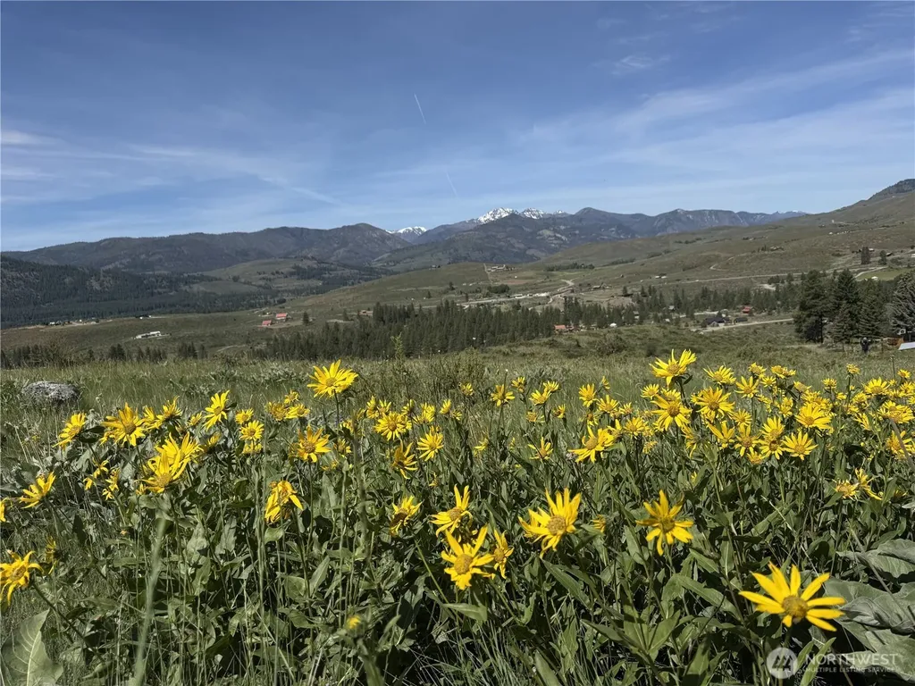 62 Bella Vista Lane Winthrop WA 98862