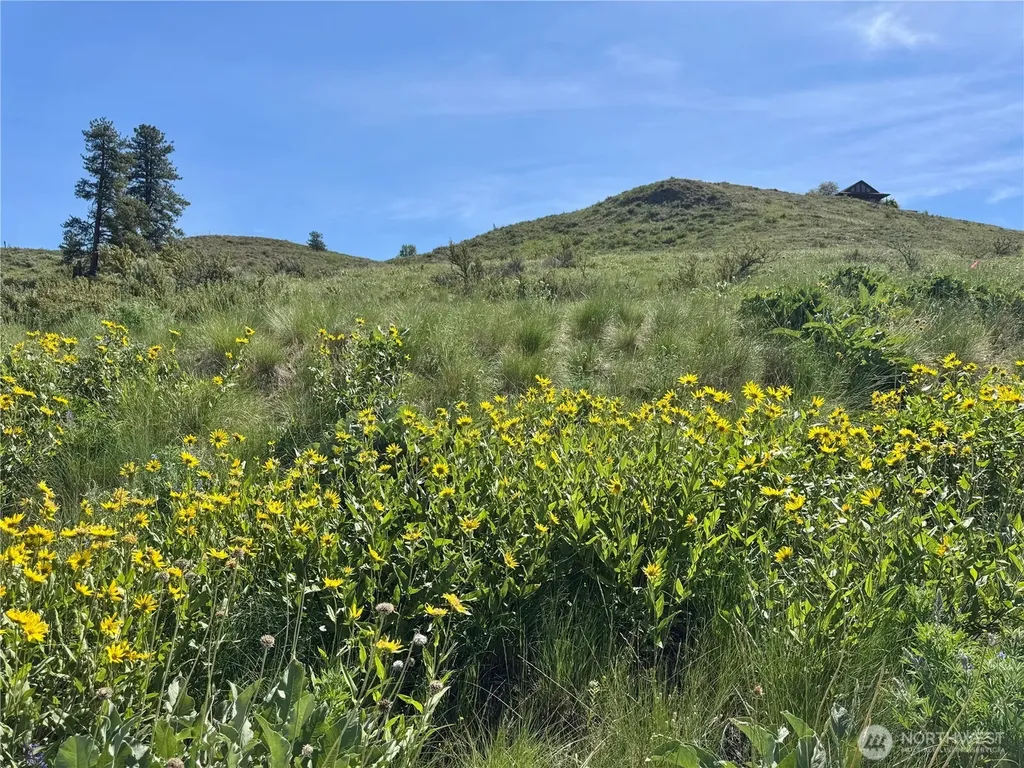 62 Bella Vista Lane Winthrop WA 98862