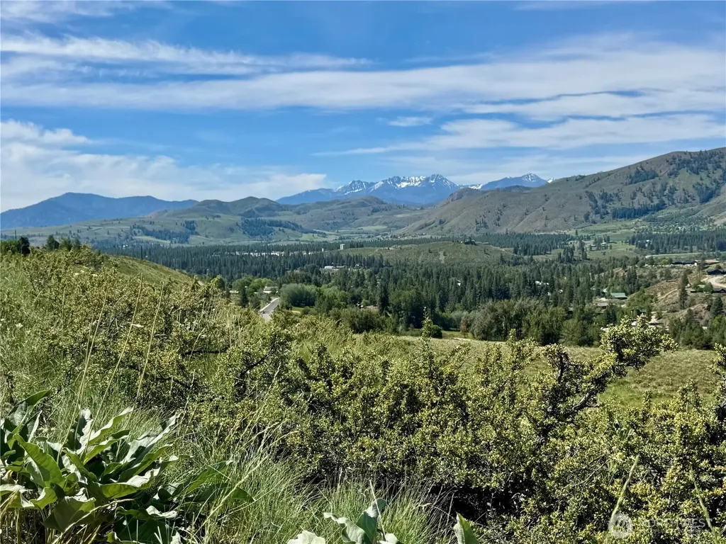 62 Bella Vista Lane Winthrop WA 98862