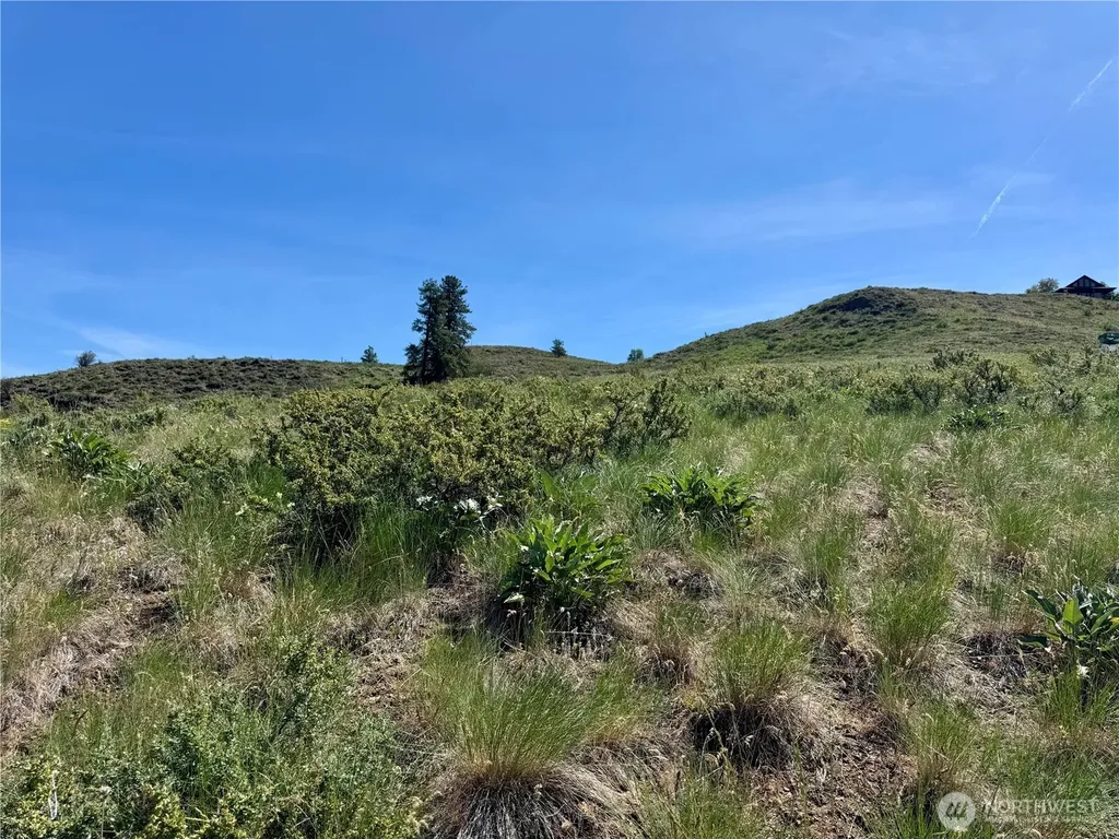 62 Bella Vista Lane Winthrop WA 98862