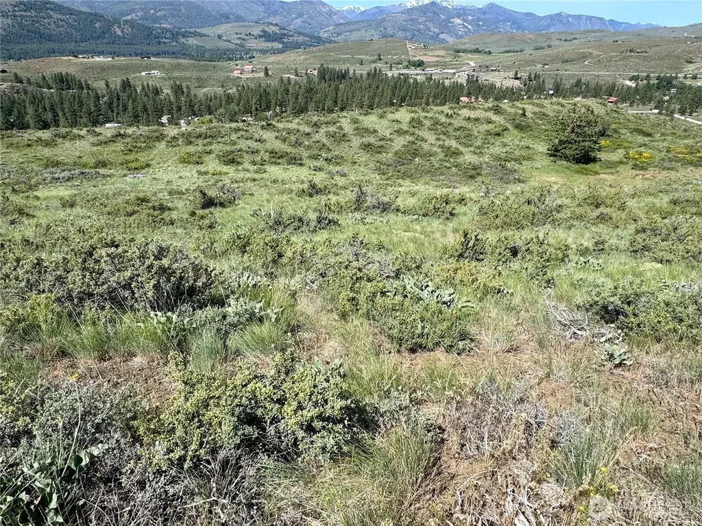 62 Bella Vista Lane Winthrop WA 98862