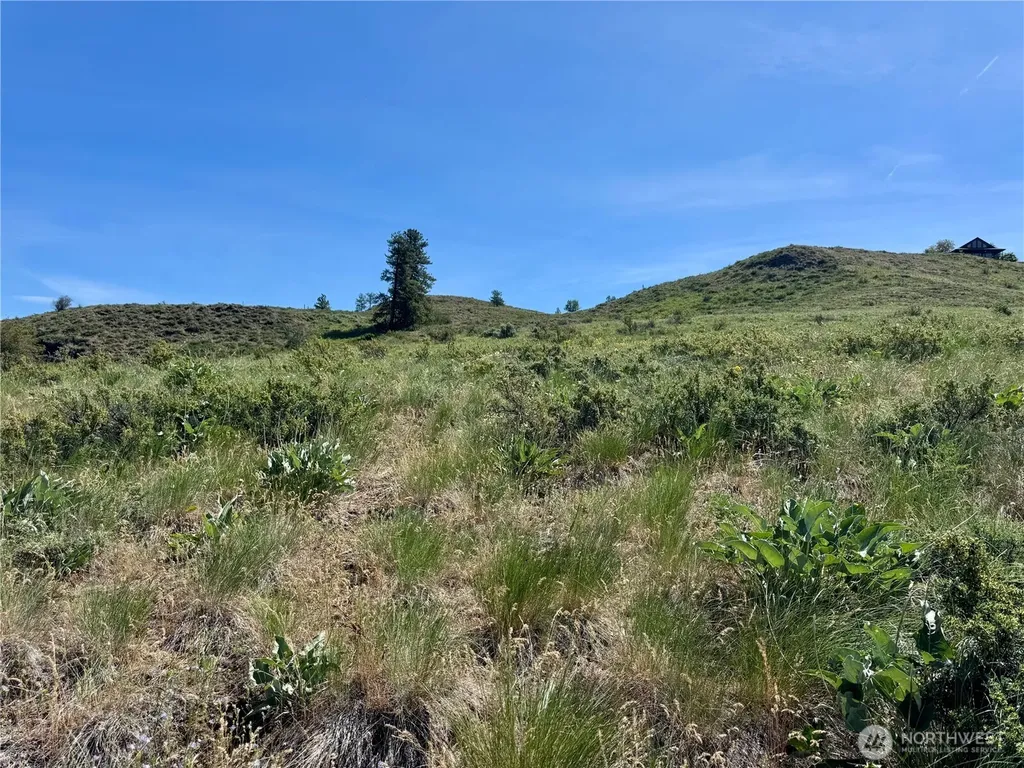 62 Bella Vista Lane Winthrop WA 98862