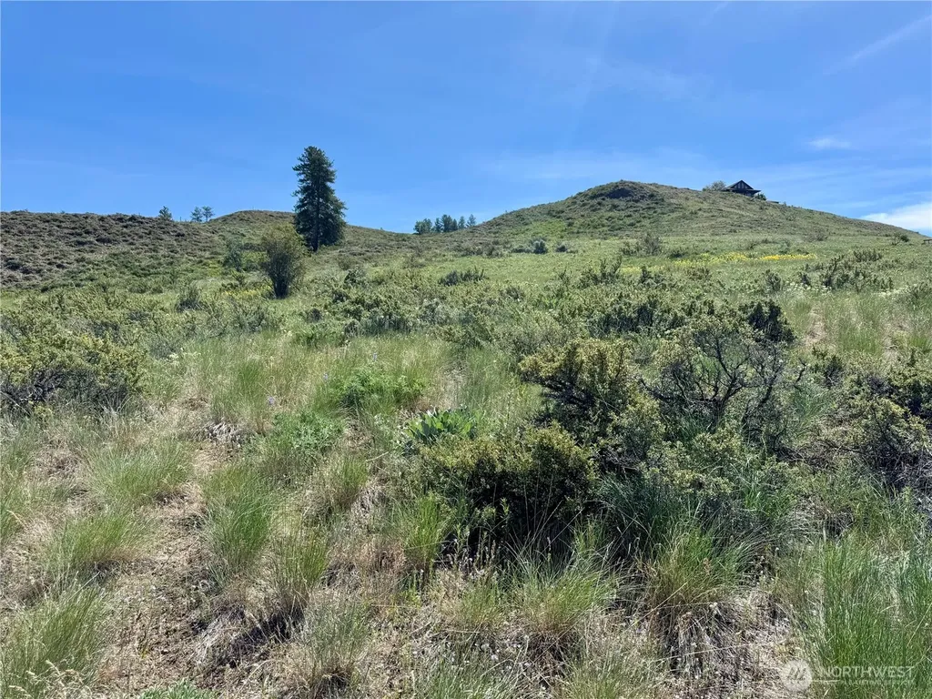 62 Bella Vista Lane Winthrop WA 98862