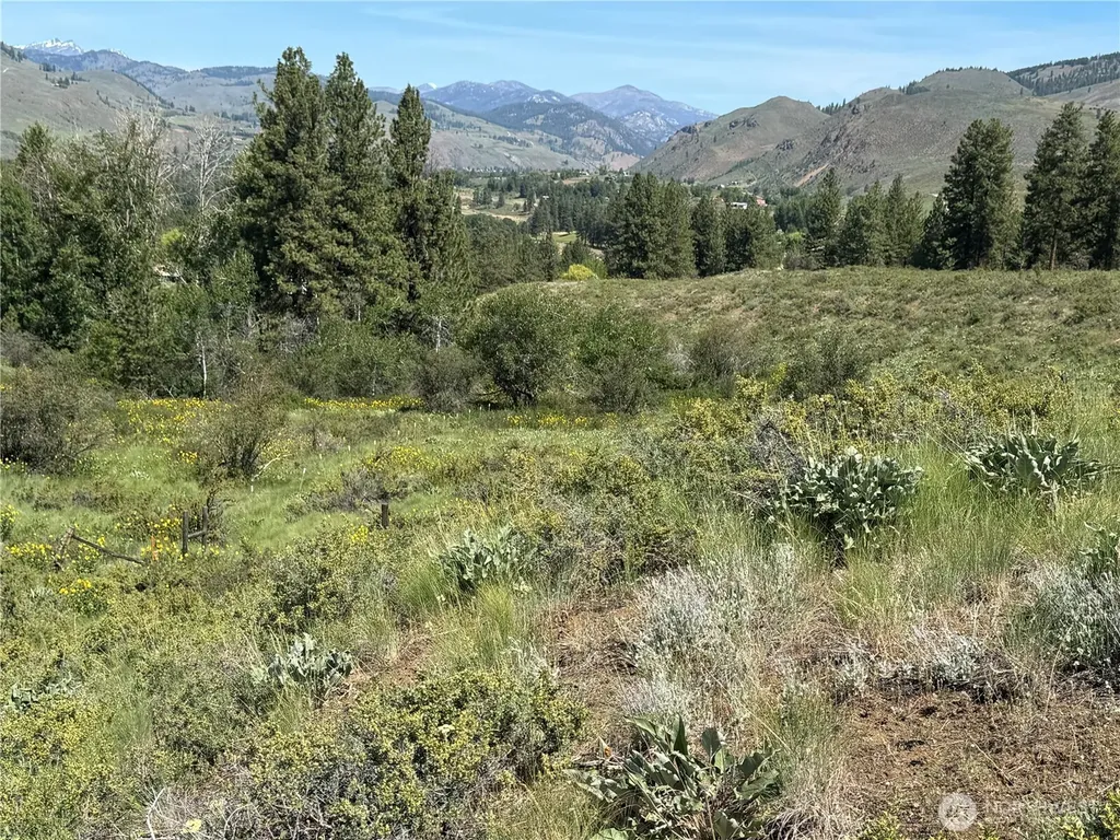 62 Bella Vista Lane Winthrop WA 98862