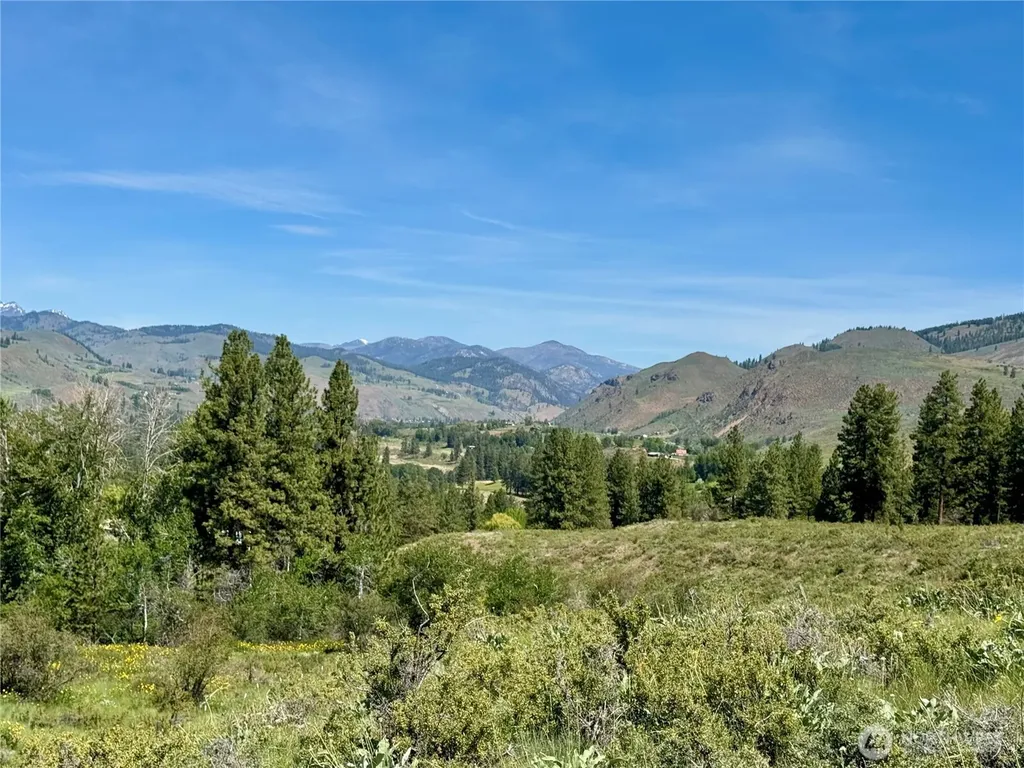 62 Bella Vista Lane Winthrop WA 98862