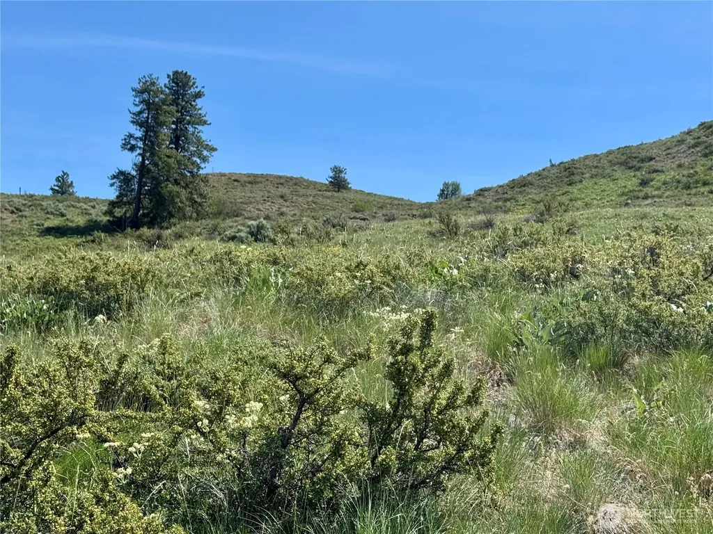 62 Bella Vista Lane Winthrop WA 98862
