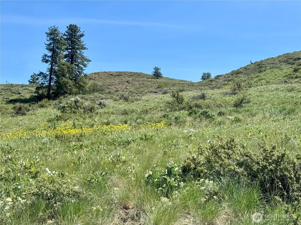 62 Bella Vista Lane Winthrop WA 98862