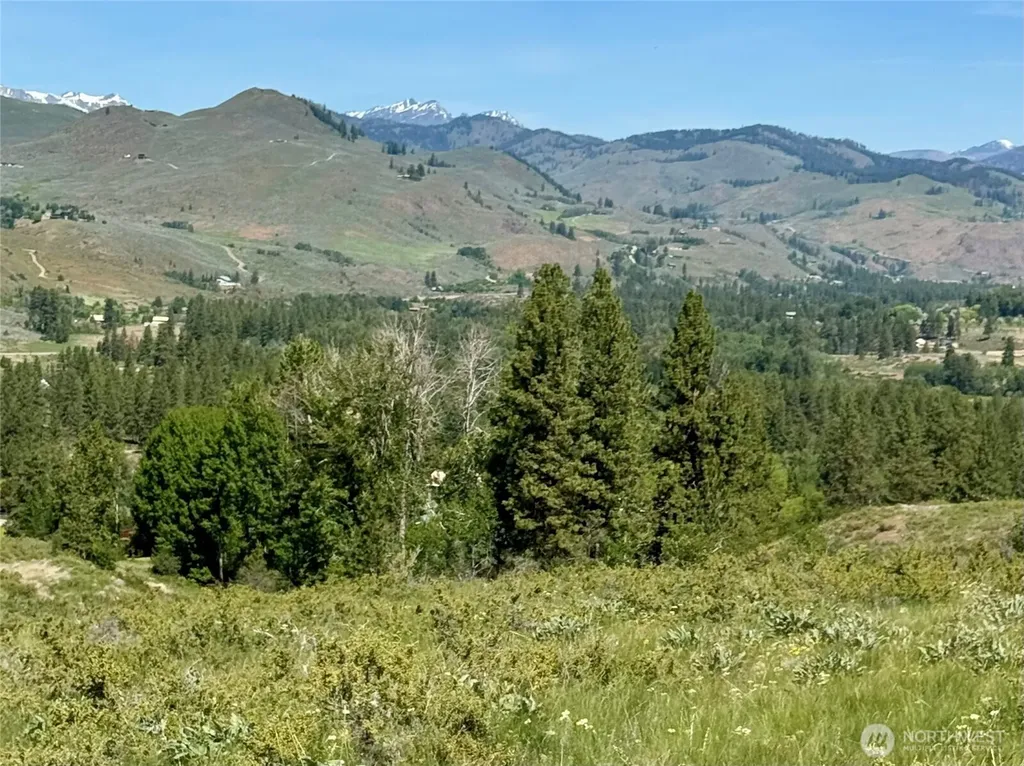 62 Bella Vista Lane Winthrop WA 98862