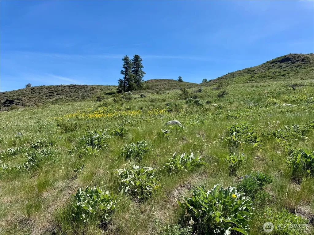 62 Bella Vista Lane Winthrop WA 98862