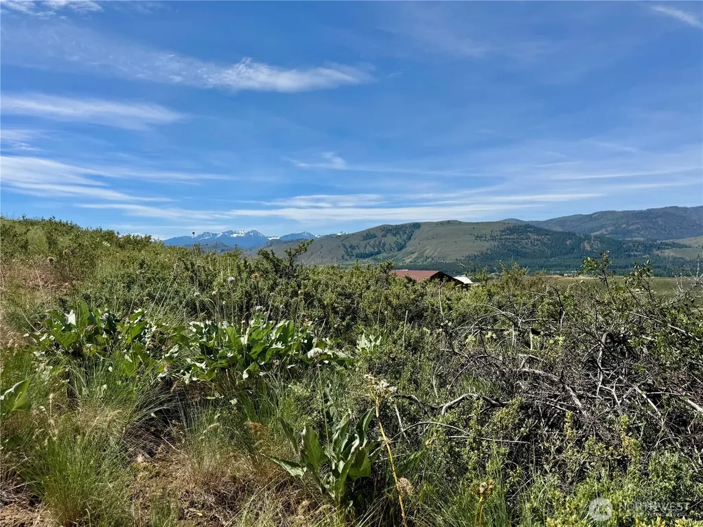 62 Bella Vista Lane Winthrop WA 98862
