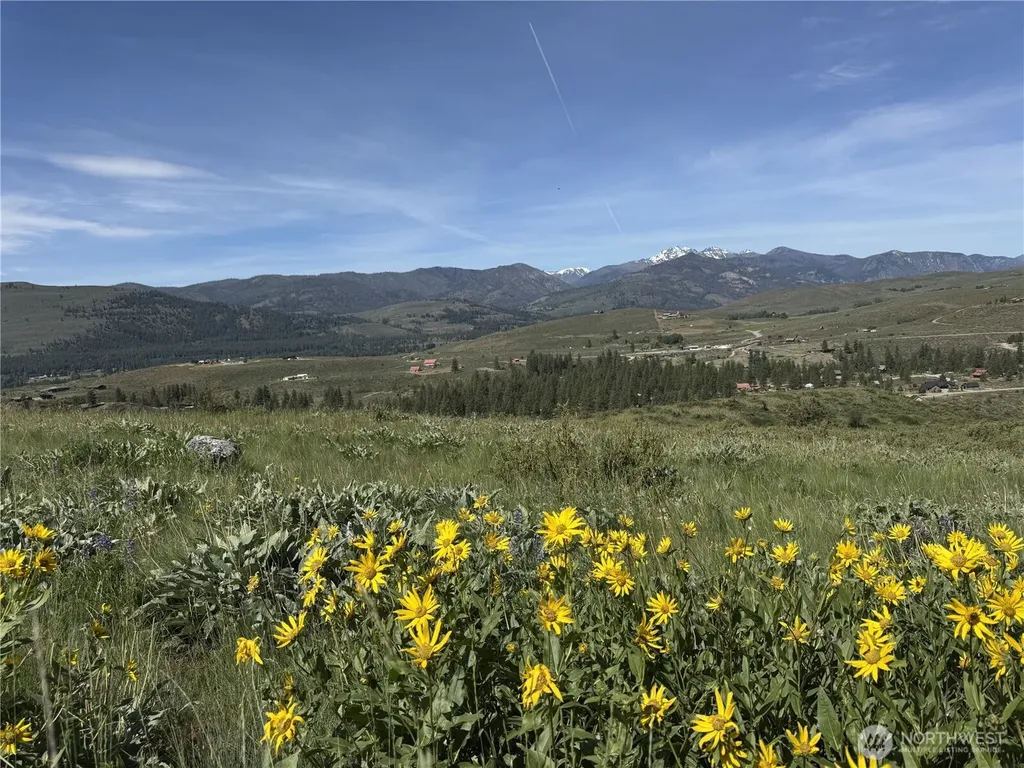 62 Bella Vista Lane Winthrop WA 98862